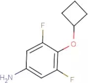 4-Cyclobutoxy-3,5-difluoroaniline