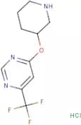 4-(Piperidin-3-yloxy)-6-(trifluoromethyl)pyrimidine hydrochloride