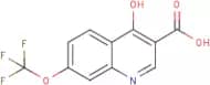 4-Hydroxy-7-trifluoromethoxyquinoline-3-carboxylic acid
