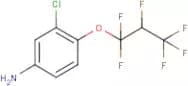 3-Chloro-4-(1,1,2,3,3,3-hexafluoropropoxy)aniline