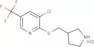 3-Chloro-2-(pyrrolidin-3-ylmethoxy)-5-trifluoromethyl-pyridine hydrochloride