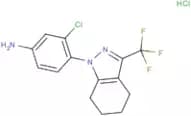 3-Chloro-4-[3-(trifluoromethyl)-4,5,6,7-tetrahydro-1H-indazol-1-yl]aniline hydrochloride