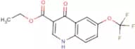 Ethyl 4-oxo-6-(trifluoromethoxy)-1,4-dihydroquinoline-3-carboxylate