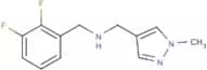 1-(2,3-Difluorophenyl)-N-[(1-methyl-1H-pyrazol-4-yl)methyl]methanamine