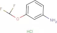 3-(Difluoromethoxy)aniline hydrochloride
