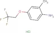 2-Methyl-4-(2,2,2-trifluoroethoxy)aniline hydrochloride