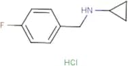 Cyclopropyl(4-fluorobenzyl)amine hydrochloride