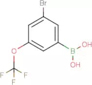 3-Bromo-5-(trifluoromethoxy)phenylboronic acid