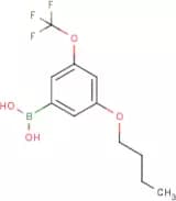 3-Butoxy-5-(trifluoromethoxy)phenylboronic acid