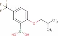 2-Isobutoxy-5-(trifluoromethyl)phenylboronic acid