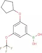 3-(Cyclopentyloxy)-5-(trifluoromethoxy)phenylboronic acid