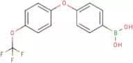 {4-[4-(Trifluoromethoxy)phenoxy]phenyl}boronic acid