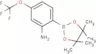 2-Amino-4-trifluoromethoxyphenylboronic acid, pinacol ester