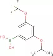 3-Isopropoxy-5-(trifluoromethoxy)phenylboronic acid
