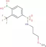 4-(N-(3-Methoxypropyl)sulfamoyl)-2-trifluoromethylphenylboronic acid