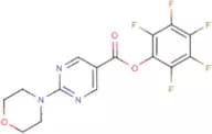 Pentafluorophenyl 2-morpholin-4-ylpyrimidine-5-carboxylate