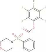 Pentafluorophenyl 2-(morpholin-4-ylsulphonyl)benzoate