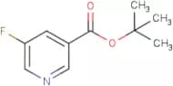 5-Fluoronicotinic acid tert-butyl ester