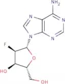 2'-Fluoro-2'-deoxyadenosine