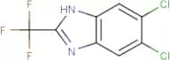 5,6-Dichloro-2-(trifluoromethyl)-1H-benzimidazole