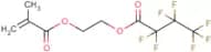 2-(2-Methylprop-2-enoyloxy)ethyl 2,2,3,3,4,4,4-heptafluorobutanoate