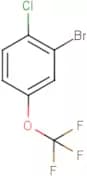 2-Bromo-1-chloro-4-(trifluoromethoxy)benzene