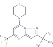 2-tert-Butyl-7-piperazino-5-(trifluoromethyl)pyrazolo[1,5-a]pyrimidine