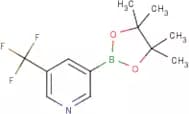 5-(Trifluoromethyl)pyridine-3-boronic acid, pinacol ester