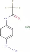 N-(4-Hydrazinophenyl)trifluoroacetamide hydrochloride
