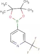 2-(Trifluoromethyl)pyridine-4-boronic acid, pinacol ester