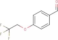 4-(2,2,2-Trifluoroethoxy)benzaldehyde