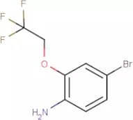 4-Bromo-2-(2,2,2-trifluoroethoxy)aniline