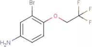 3-Bromo-4-(2,2,2-trifluoroethoxy)aniline