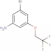 3-Bromo-5-(2,2,2-trifluoroethoxy)aniline