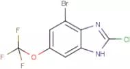 4-Bromo-2-chloro-6-(trifluoromethoxy)-1H-1,3-benzimidazole