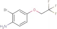 2-Bromo-4-(2,2,2-trifluoroethoxy)aniline