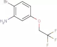 2-Bromo-5-(2,2,2-trifluoroethoxy)aniline