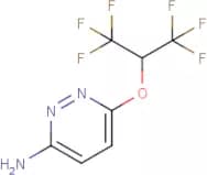 6-[2,2,2-Trifluoro-1-(trifluoromethyl)ethoxy]pyridazin-3-amine