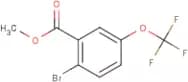 Methyl 2-bromo-5-(trifluoromethoxy)benzoate