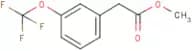 3-(Trifluoromethoxy)phenylacetic acid methyl ester