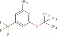 3-(tert-Butoxy)-5-(trifluoromethyl)aniline