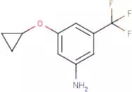 3-Cyclopropoxy-5-(trifluoromethyl)aniline