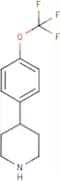 4-[4-(Trifluoromethoxy)phenyl]piperidine