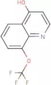 8-(Trifluoromethoxy)-4-hydroxyquinoline