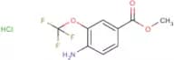4-Amino-3-(trifluoromethoxy)benzoic acid methyl ester hydrochloride