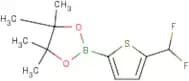 2-[5-(Difluoromethyl)-2-thienyl]-4,4,5,5-tetramethyl-1,3,2-dioxaborolane