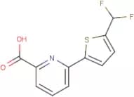 6-[5-(Difluoromethyl)-2-thienyl]pyridine-2-carboxylic acid