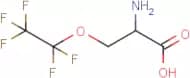 2-Amino-3-pentafluoroethyloxy-propionic acid