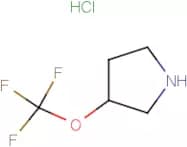 3-(Trifluoromethoxy)pyrrolidine hydrochloride