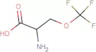 2-Amino-3-(trifluoromethoxy)propionic acid hydrochloride